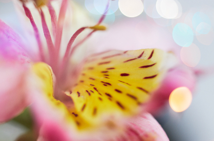 2023年世乒赛完整赛程直播时间表出炉 2023年世乒赛完整赛程直播时间表出炉