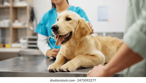 2019年欧洲冠军联赛决赛巅峰对决全程直播 2019年欧洲冠军联赛决赛巅峰对决全程直播