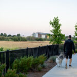 2019斯诺克在线直播:全球顶尖选手的巅峰对决 7913r