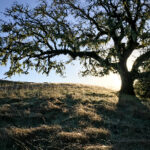 201年直接开奖结果震撼揭晓 89qjwob