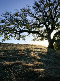 201年直接开奖结果震撼揭晓 201年直接开奖结果震撼揭晓