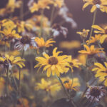 2023最全直播平台大盘点,你想看的都在这里! a3um16m3