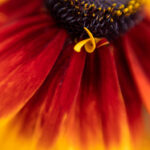 2019年大乐透全年开奖日期详细查询指南 f1l4j8