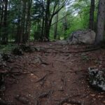 2017金球奖颁奖典礼全程高清直播在线观看 j3rgdp8