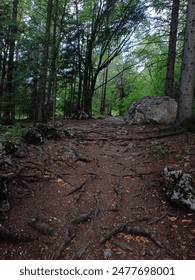 2017金球奖颁奖典礼全程高清直播在线观看 2017金球奖颁奖典礼全程高清直播在线观看