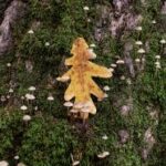 3d每晚几点开奖?最新开奖时间详细说明 li7kms3