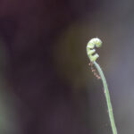 3D直播开奖震撼开启,沉浸式体验全新开奖模式 u0ef63