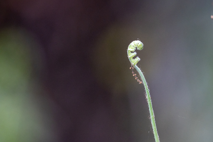 3D直播开奖震撼开启,沉浸式体验全新开奖模式 3D直播开奖震撼开启,沉浸式体验全新开奖模式